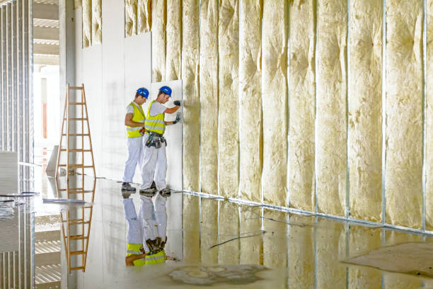 Best Geographic-Specific Insulation Services in Sky Valley, CA